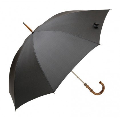 Ilgas, solidus skėtis EZ-10305-2